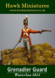 Grenadier Guard Officer, Battle of Waterloo 1815